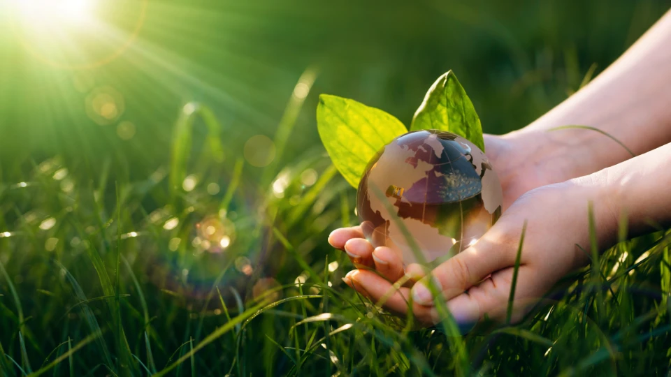 The Earth Is Calling – an open source course on global ecology Human holding the crystal world