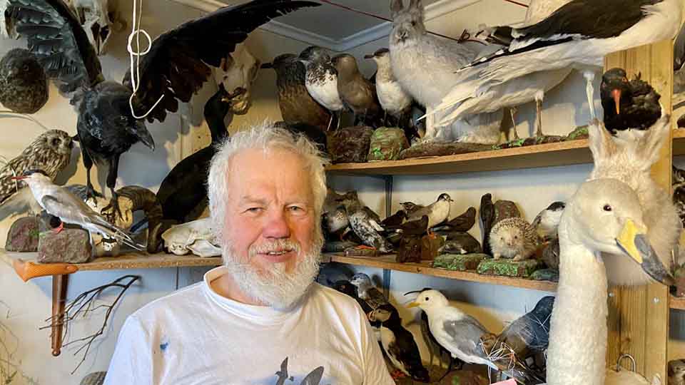 Jens-Kjeld Jensen i sit værksted, hvor han arbejder med at udstoppe fugle Jens-Kjeld Jensen i sit værksted, hvor han arbejder med at udstoppe fugle