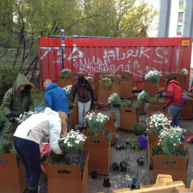 Ecological agriculture – local gardens