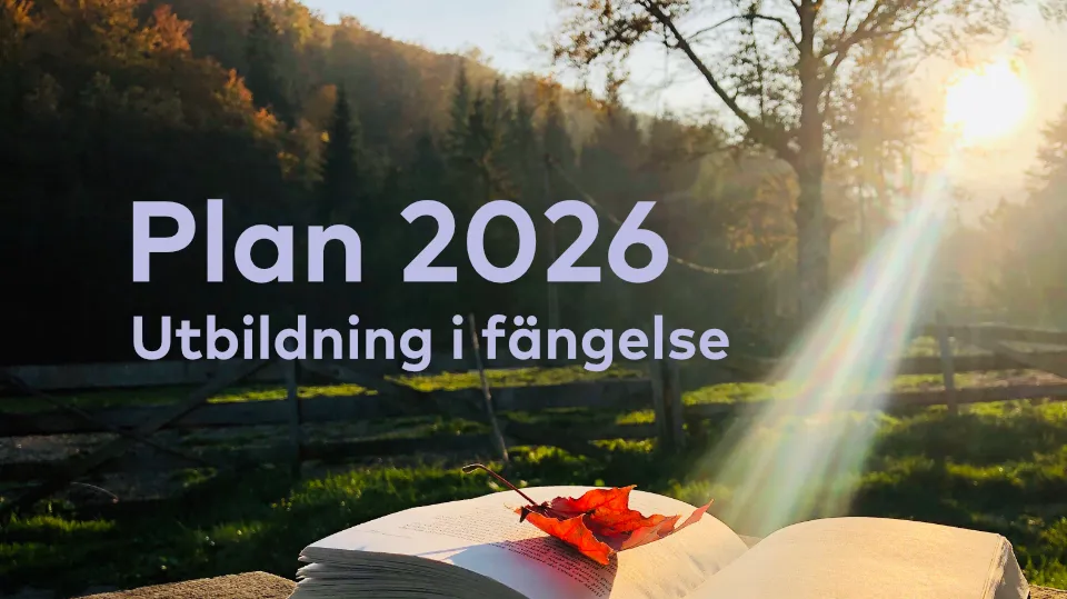 Utbildning i fängelse nettverk tema under 2026 Bok med höstlöv i solljus framför ett lantligt landskap med texten "Plan 2026 – Utbildning i fängelse"; Utbildning i fängelse nettverk tema under 2026.