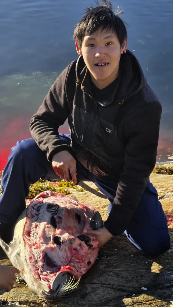 Person sidder ved kysten med kniv ved siden af en sæl på klipper nær vandet.