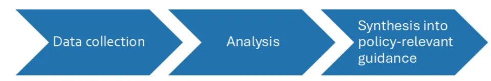 Flowchart showing three stages: data collection, analysis, and synthesis into policy-relevant guidance.