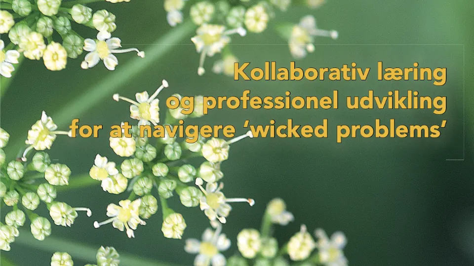 Nærbillede af små hvide blomster med tekst om kollaborativ læring og professionel udvikling til at navigere komplekse problemer.