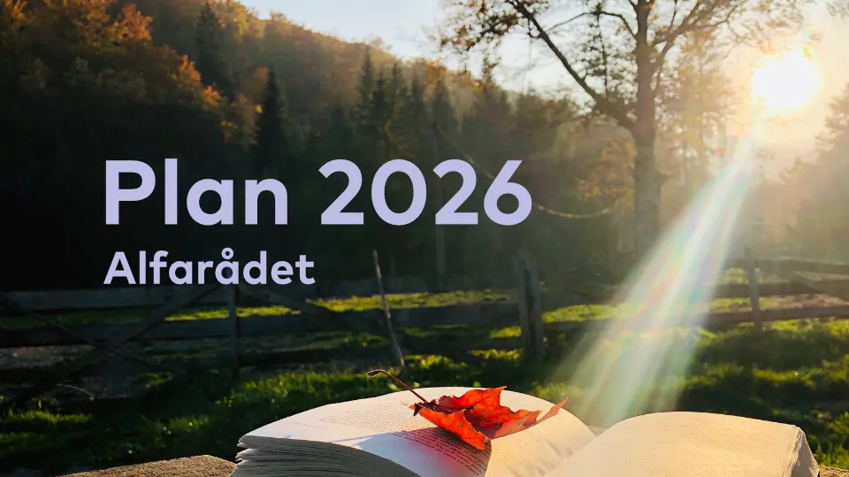 Bok med höstlöv i solljus framför ett lantligt landskap med texten "Plan 2026 – Alfarådet"; Alfarådet nettverk tema under 2026.