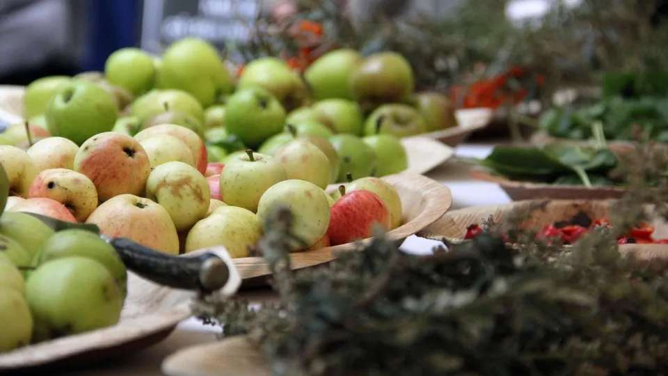 Green and red apples displayed in wooden trays, surrounded by foliage and herbs in a soft-focus garden setting.